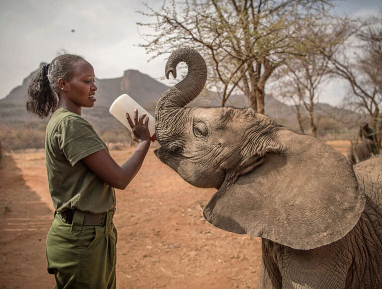 Kenya: Conservation, Community, and Climate Resilience Safari