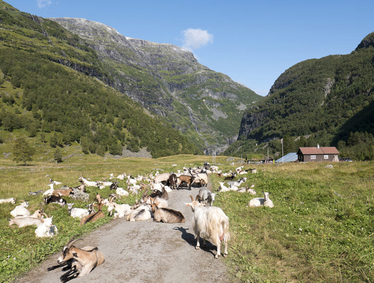 Norway: Family Adventure