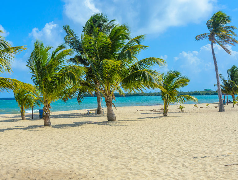 Belize: Family Eco Adventure