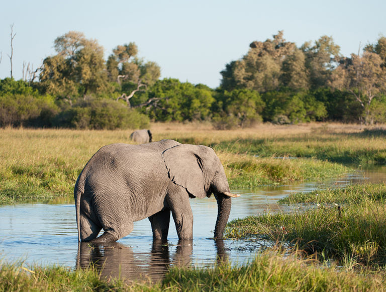 Botswana, Zambia, and Zimbabwe Adventure