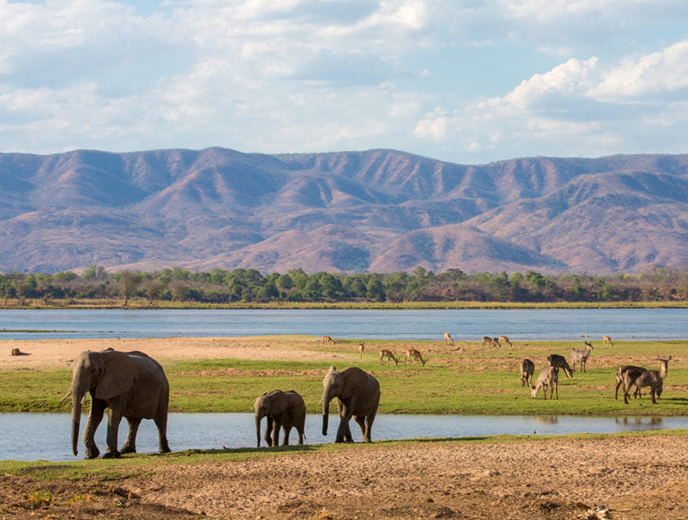 Botswana, Zambia, and Zimbabwe Adventure