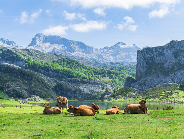 Spain: A Taste of the North