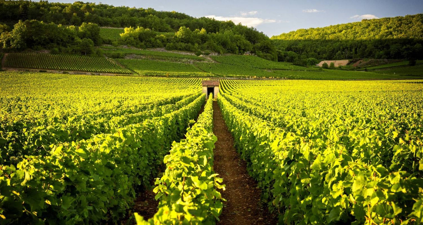 Romantic France