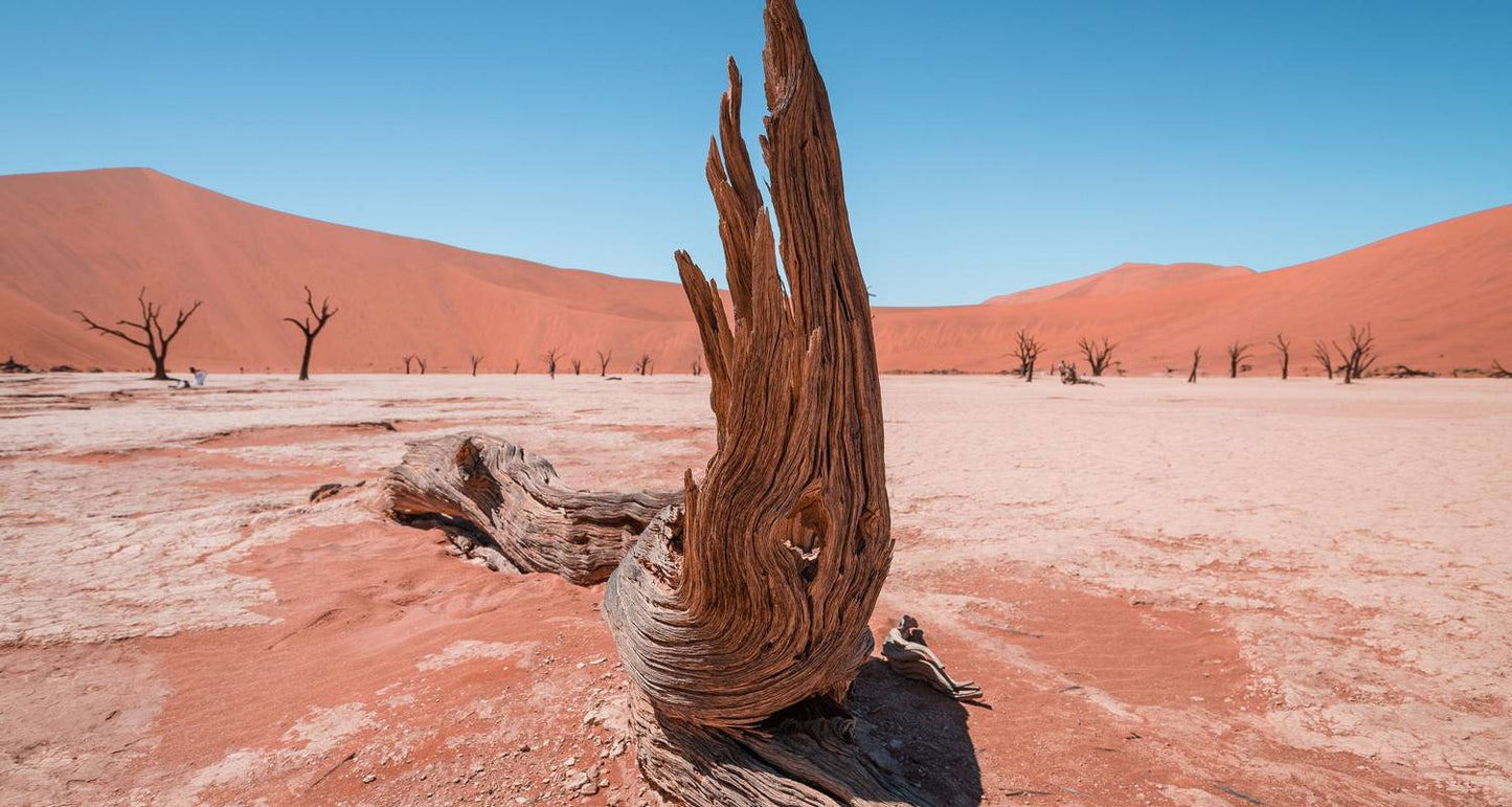 3-Day Sossusvlei Camping Adventure