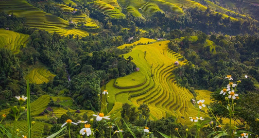 Best Of Vietnam In 14 Days