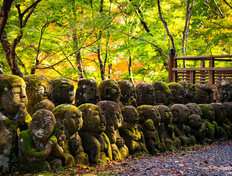 Japan: Wellness Immersion