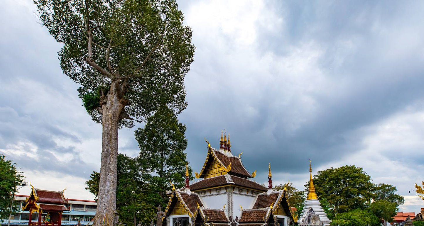 5 Days Exploring Thailand's Floating Markets And Temples