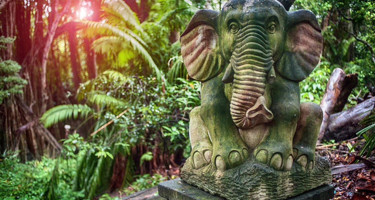 Bespoke Bliss: City Chic & Bali Retreat