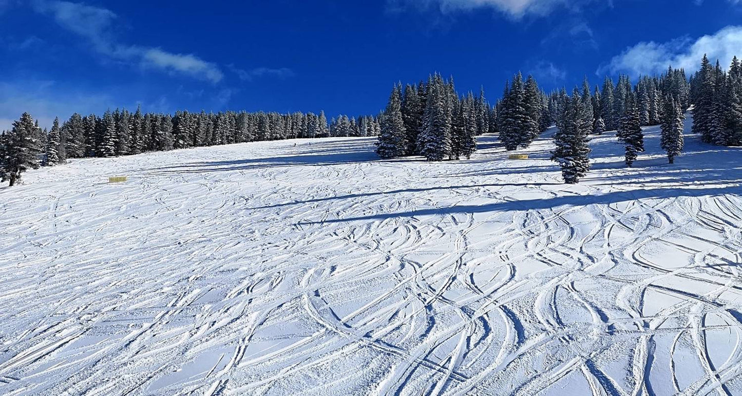 Cross-Country Skiing at Leutasch and Seefeld