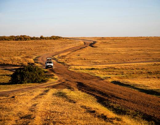 Wild Kenya: Nairobi, Maasai Mara, Amboseli & Lake Naivasha