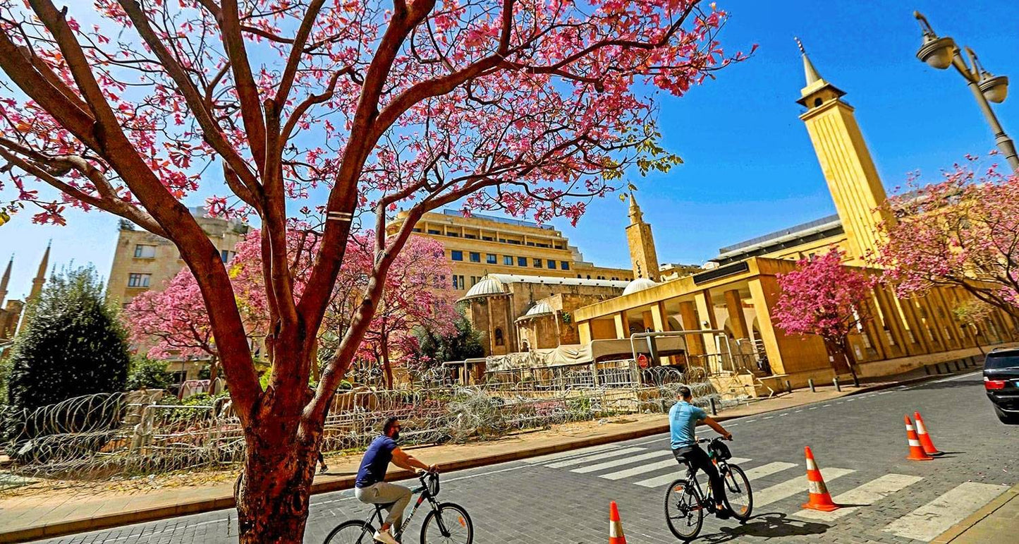 Tailor-made Lebanon Tour