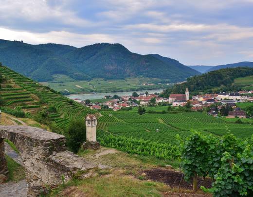 Salzburg, Vienna & Danube Valley - 8 days