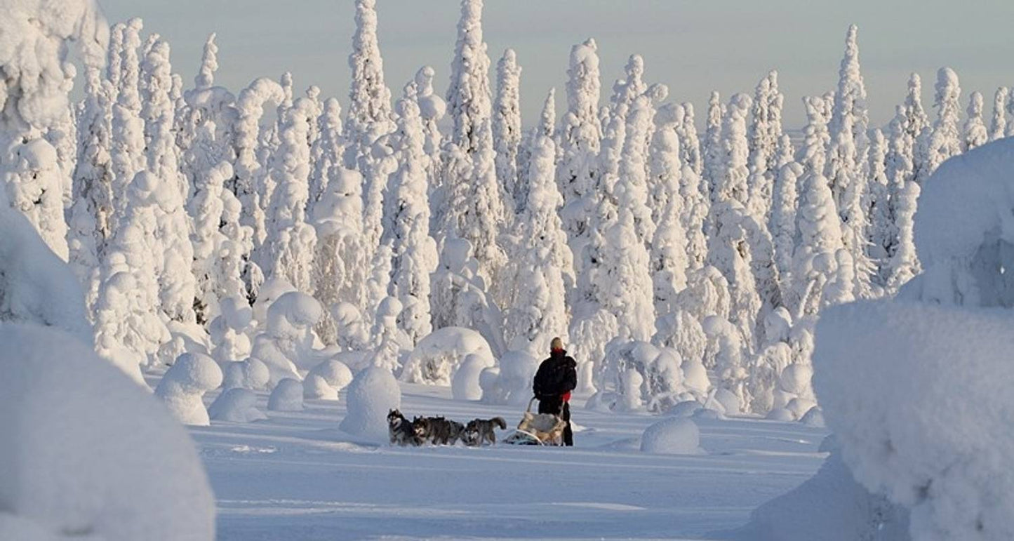 Journey to Finland's Winter Wonderland