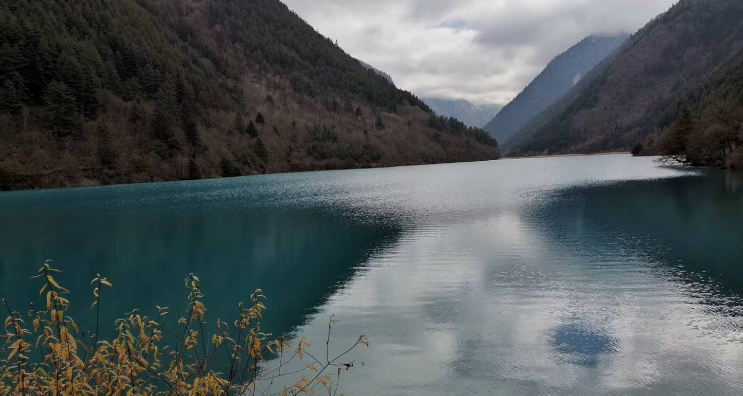 Sichuan Discovery 10D: Chengdu, Panda Base, Jiuzhaigou, Jianmen, Langzhong, Leshan, Mt Emei