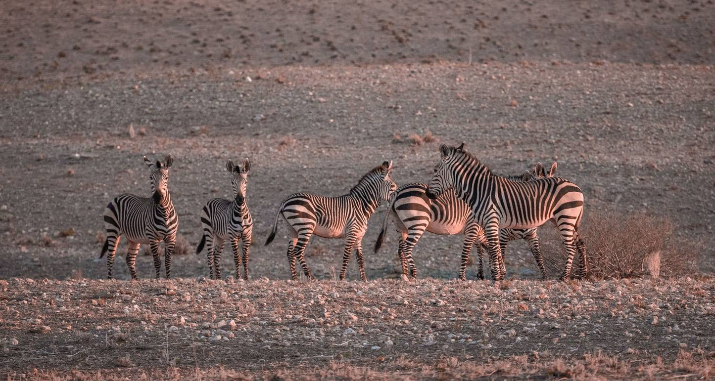 3-Day Sossusvlei Camping Adventure