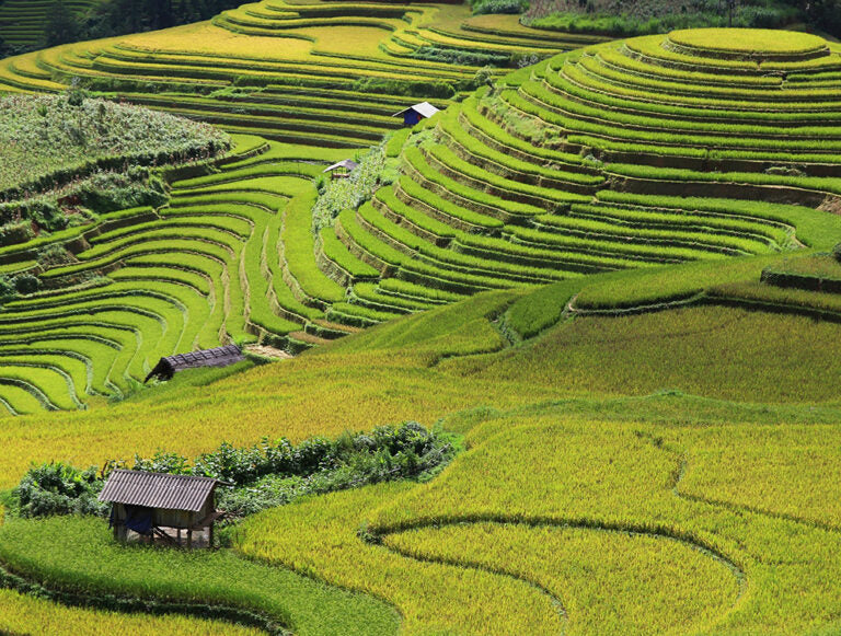 Vietnam: South to North