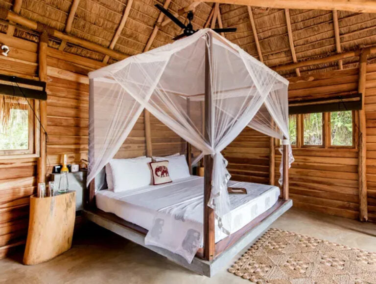 Sri Lanka: Wildlife Adventure
