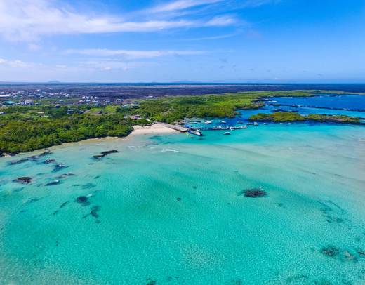Best of Galapagos