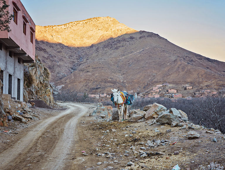 Morocco: Sea, Mountains and Marrakech