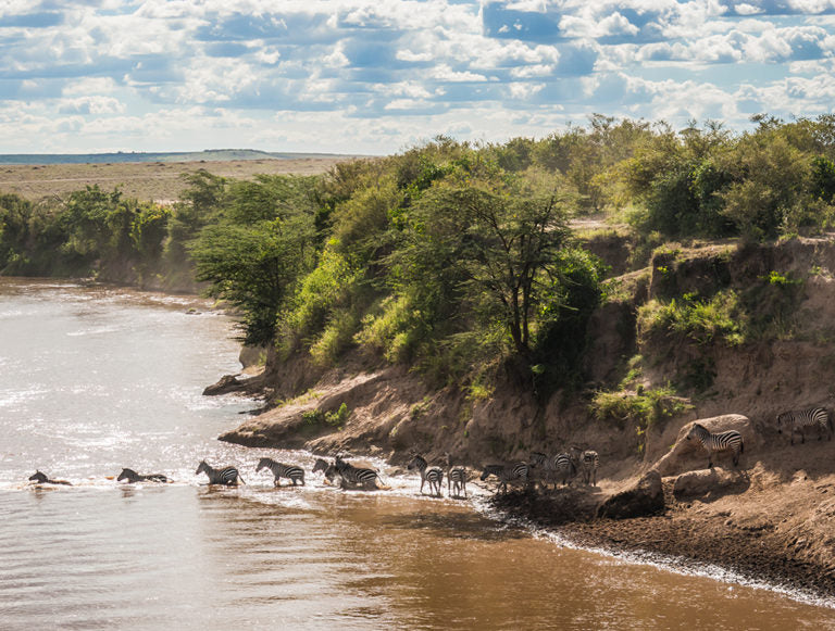 Tanzania: Great Migration Safari