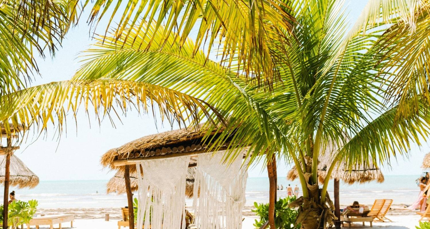 Mexico Yucatán Experience