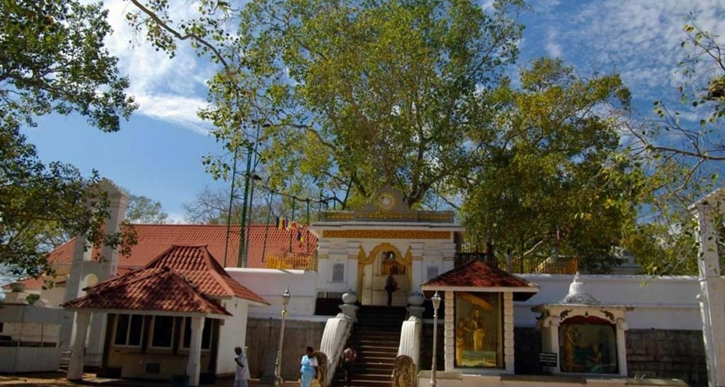 Premium Travel Destinations in Sri Lanka