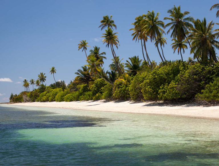 Seychelles: Conservation Honeymoon