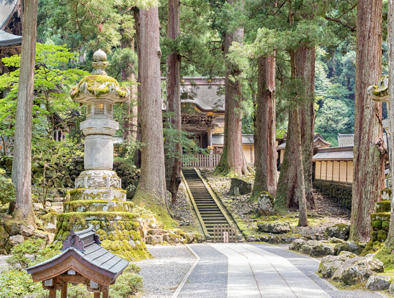 Japan: Wellness Immersion