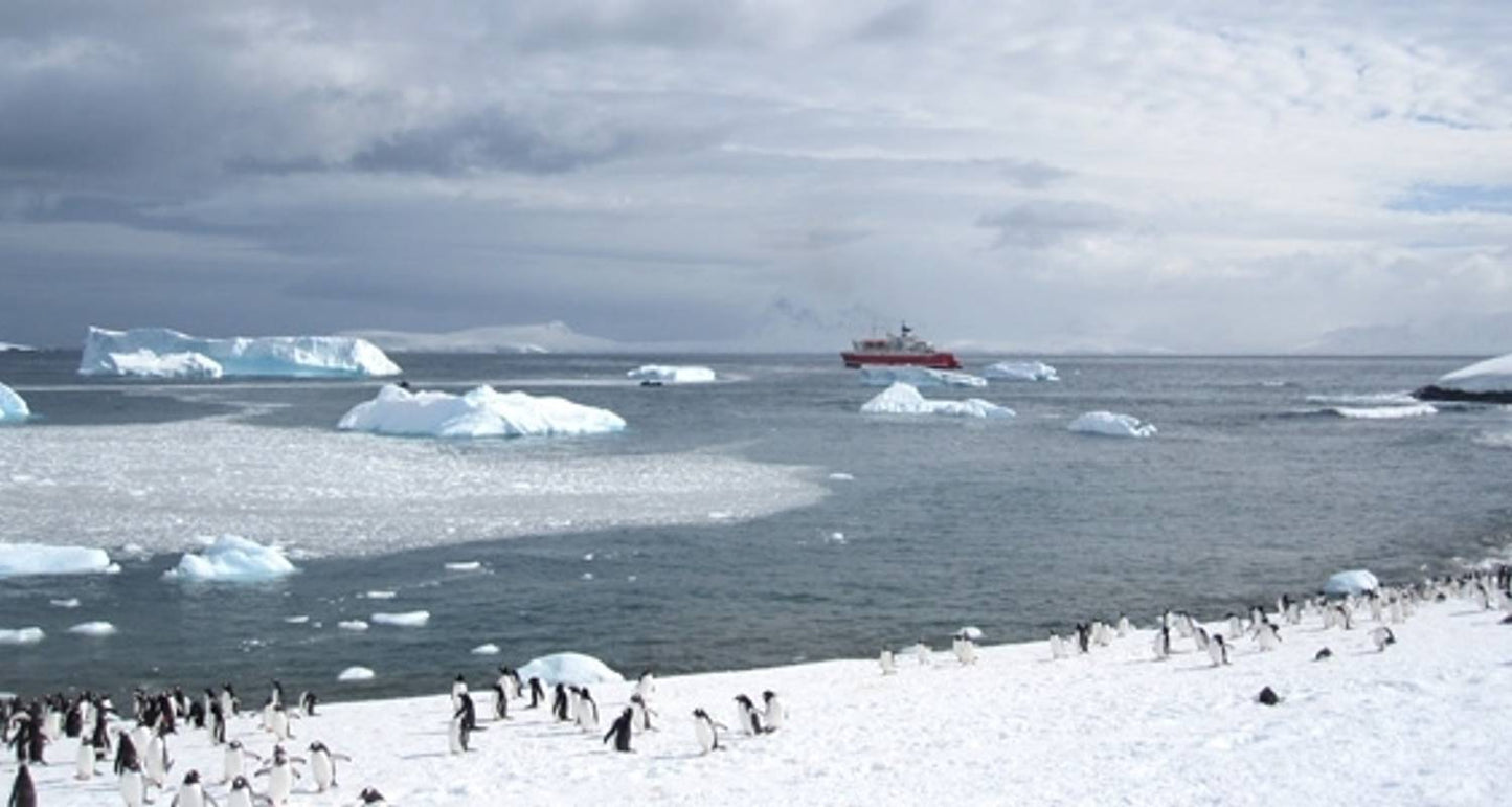 Quest for the Antarctic Circle