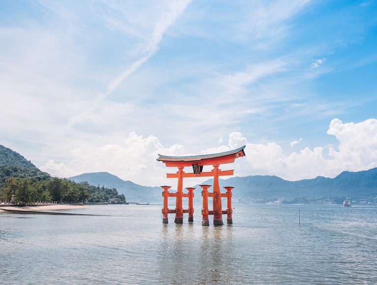 Japan: Sakura Honeymoon