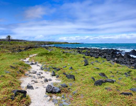 Best of Galapagos