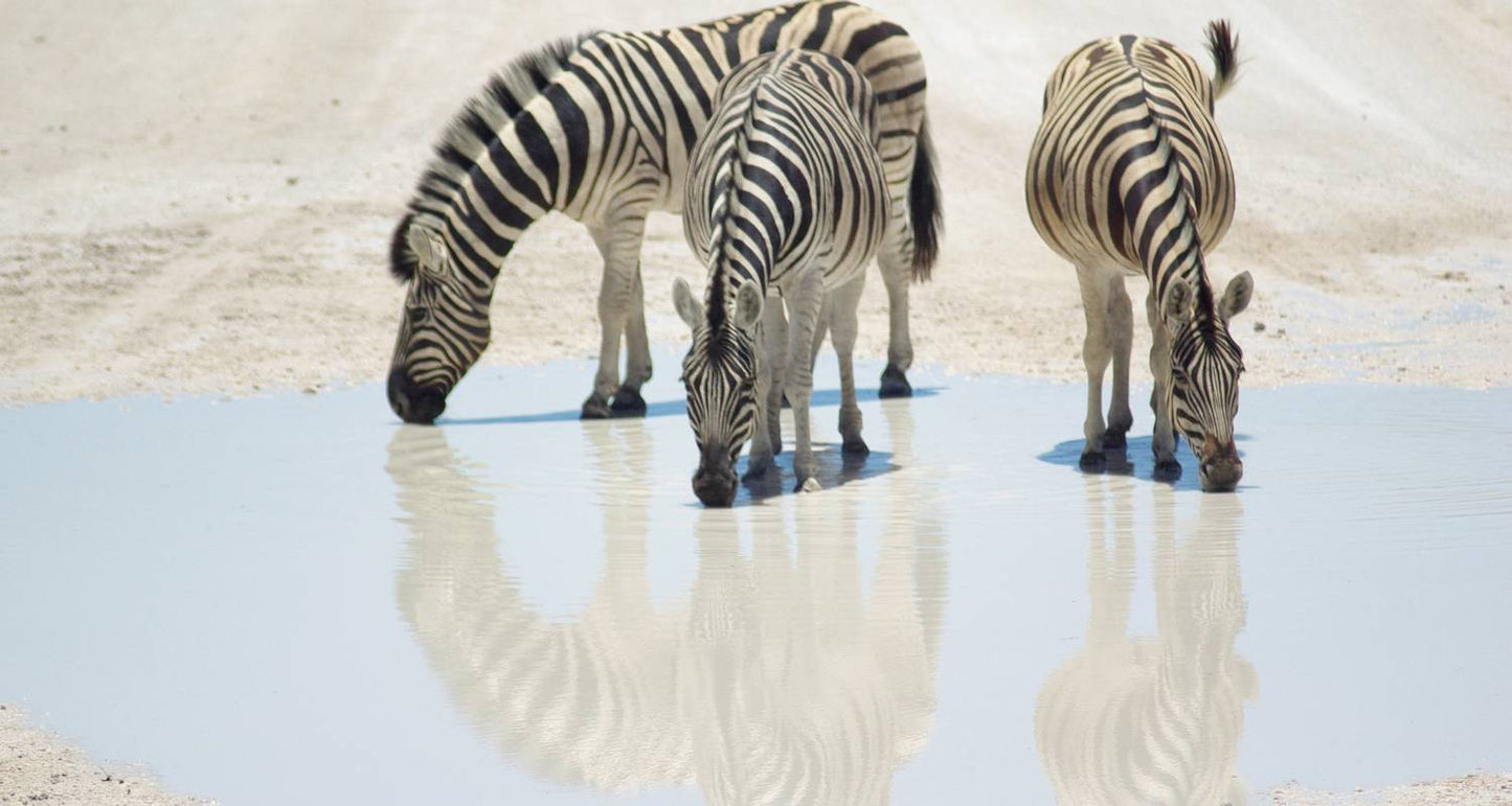 Cycle Namibia