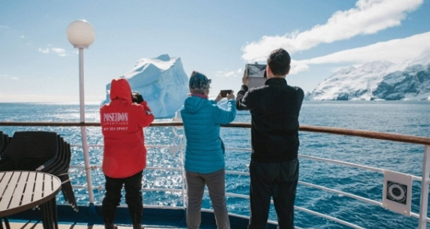 Realm of Penguins & Icebergs