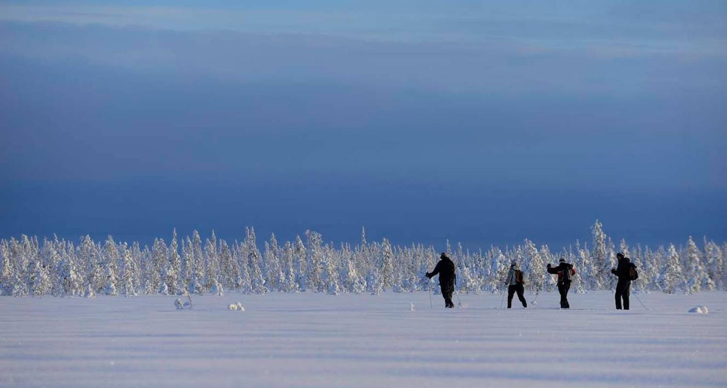 Arctic Circle Aurora Adventure