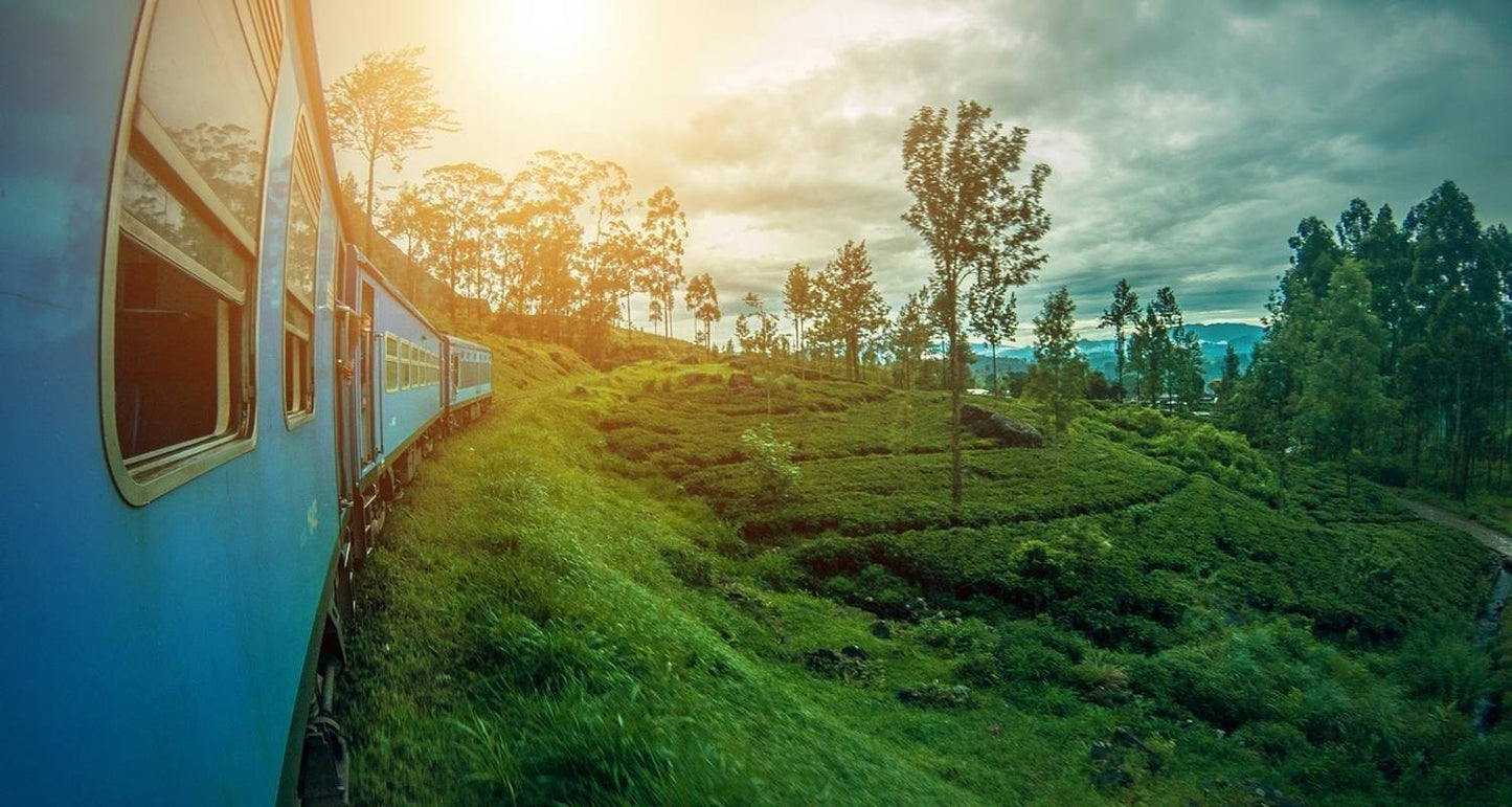Highlights Tour of Sri Lanka