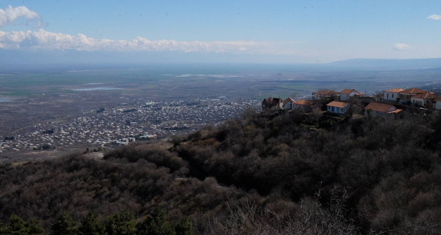Georgia Private Tour with Driver-Guide
