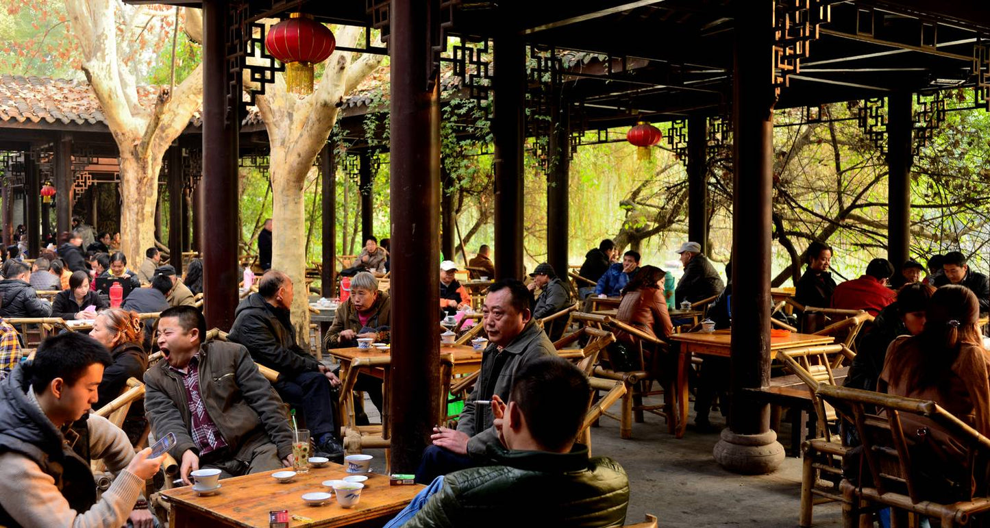 14D China Group Tour: Giant Pandas & Zhangjiajie Avatar Mountains