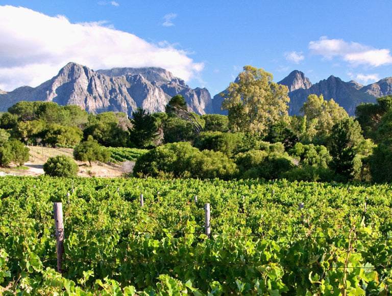 South Africa: Eco-Luxury Adventure