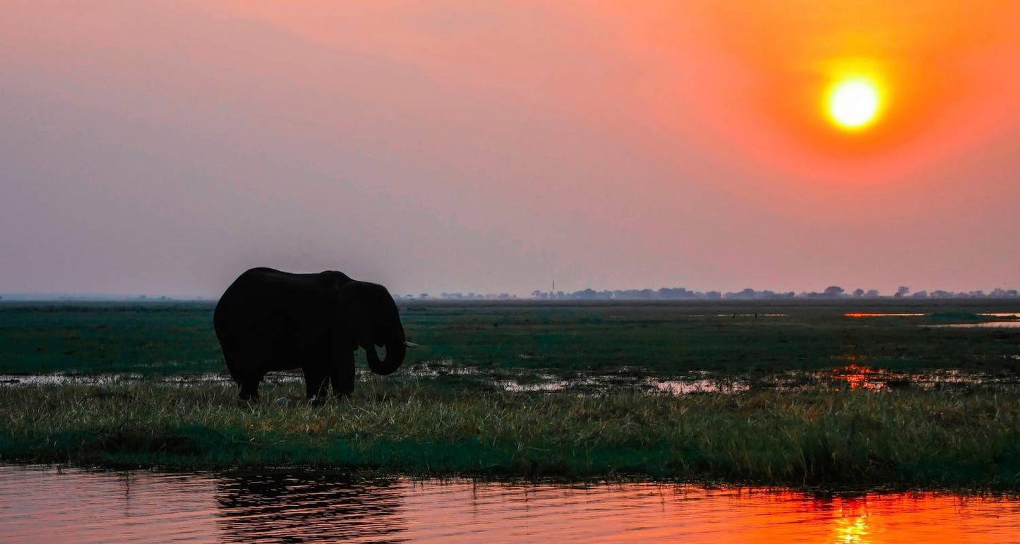 Victoria Falls to Cape Town - Camping
