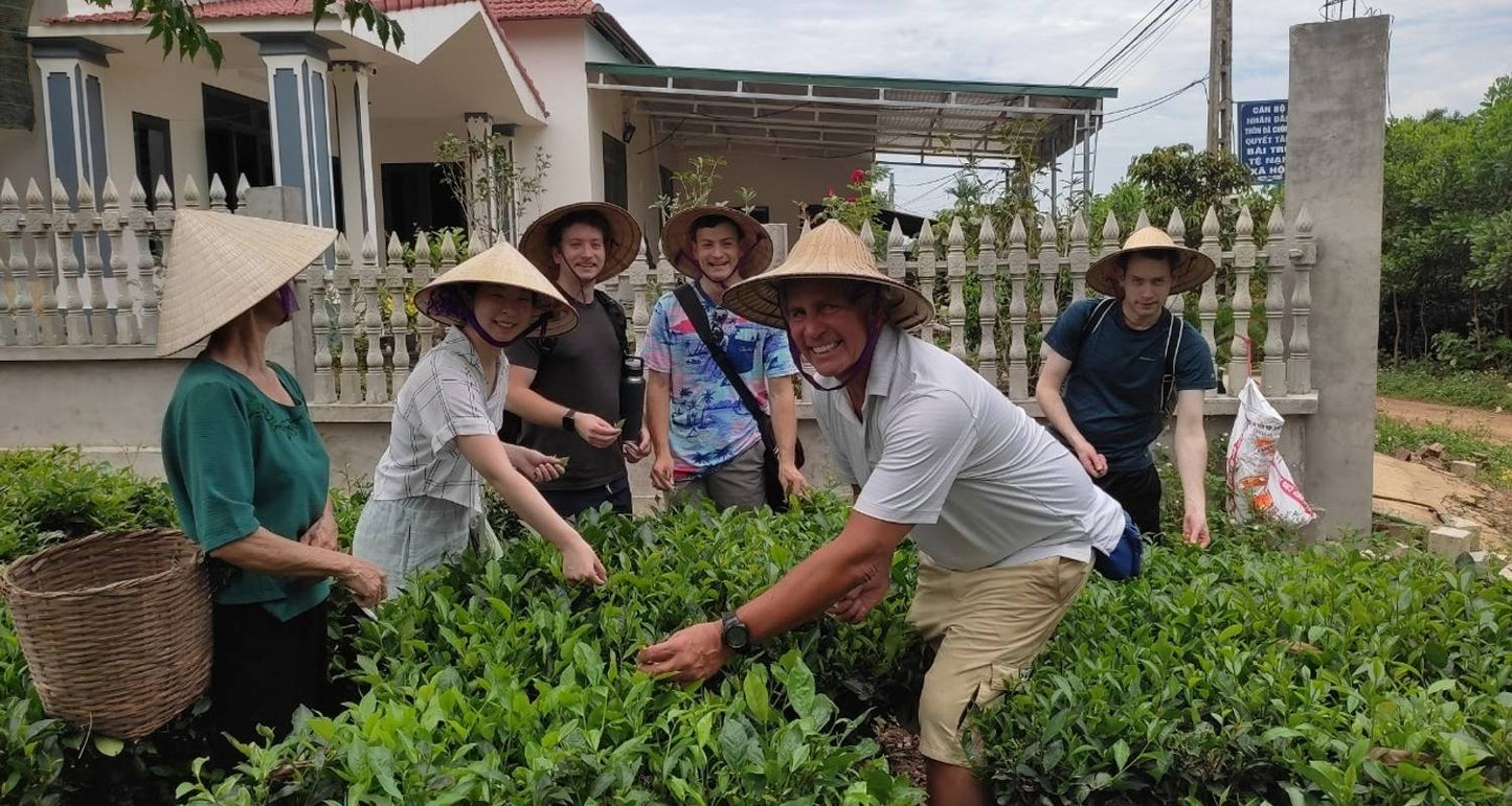 Best Of Vietnam In 14 Days