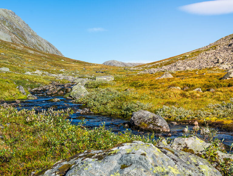 Norway: Arctic Honeymoon