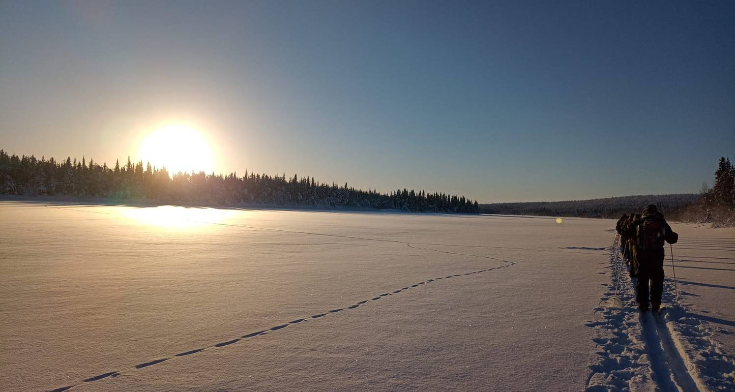 Arctic Circle Aurora Adventure