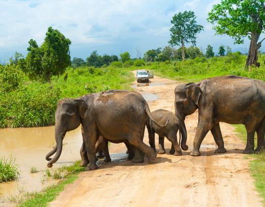 Discover Sri Lanka