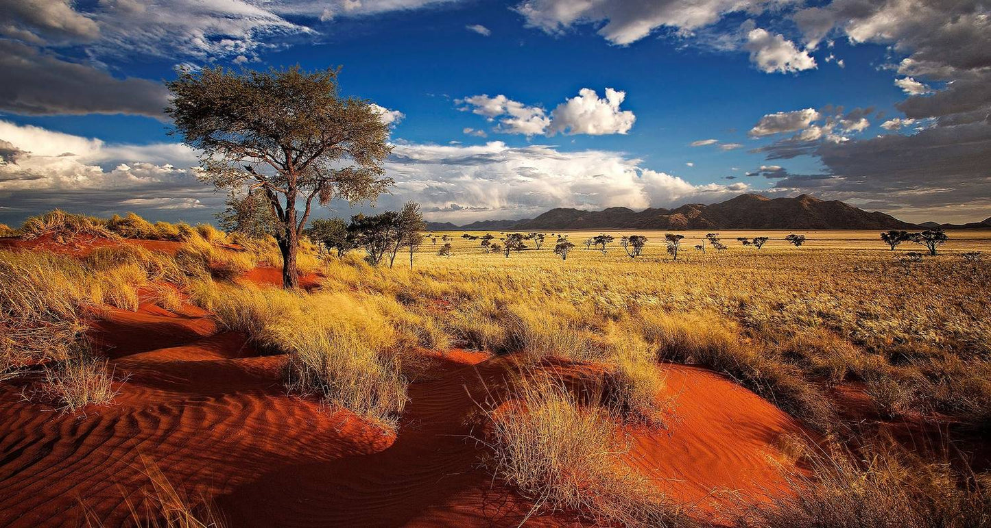 Victoria Falls to Cape Town - Camping
