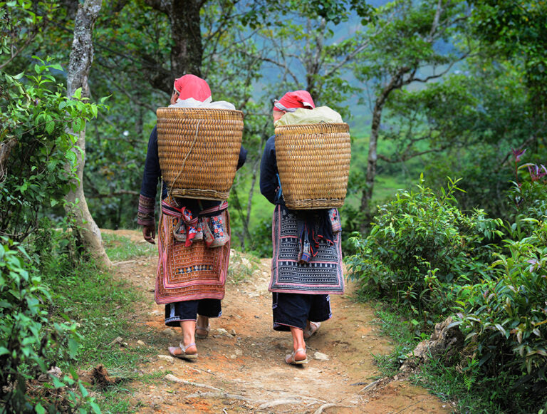 Vietnam: South to North
