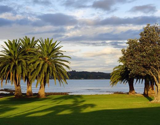 New Zealand: Sun and Steam