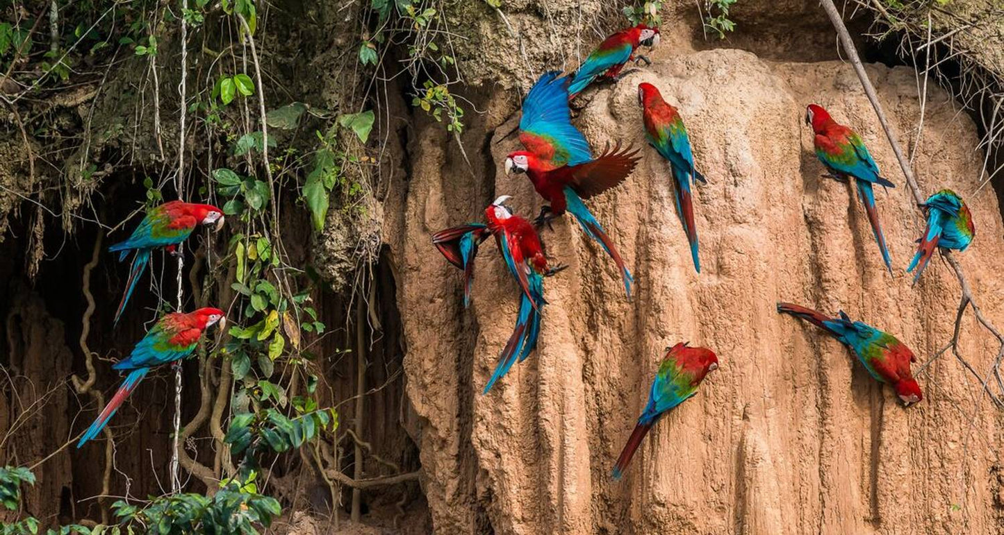 Journey to Peru