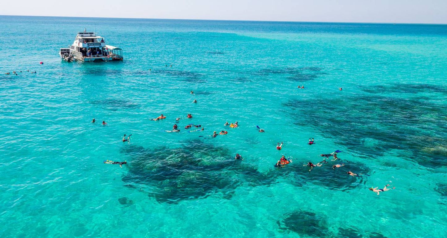 Brisbane to Cairns - 7 Day Boutique Tour