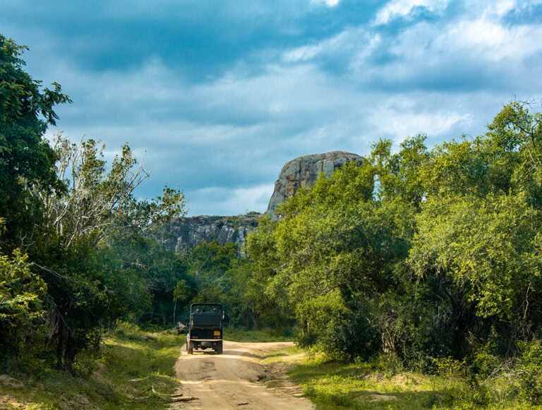 Sri Lanka: Sacred Landscapes