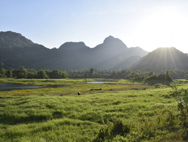 Sri Lanka: Wildlife Adventure
